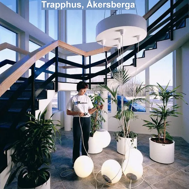 Trapphus