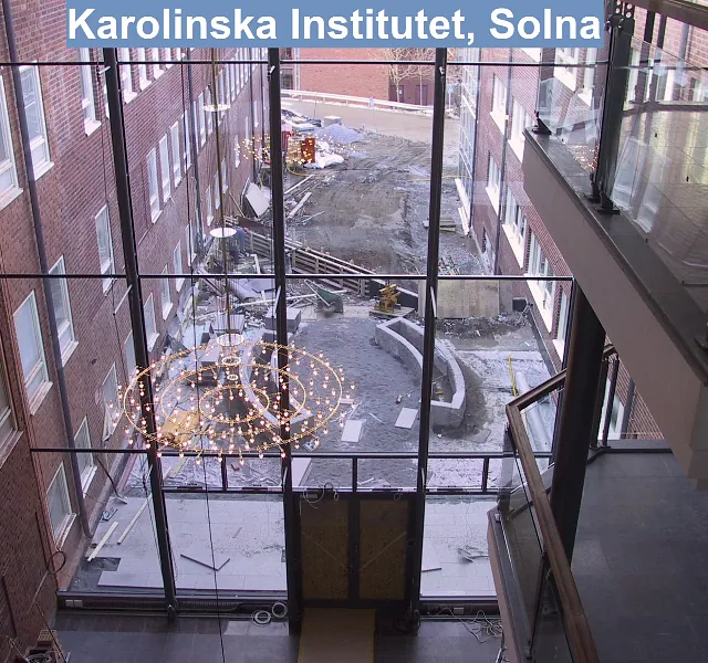 Karolinska Institutet