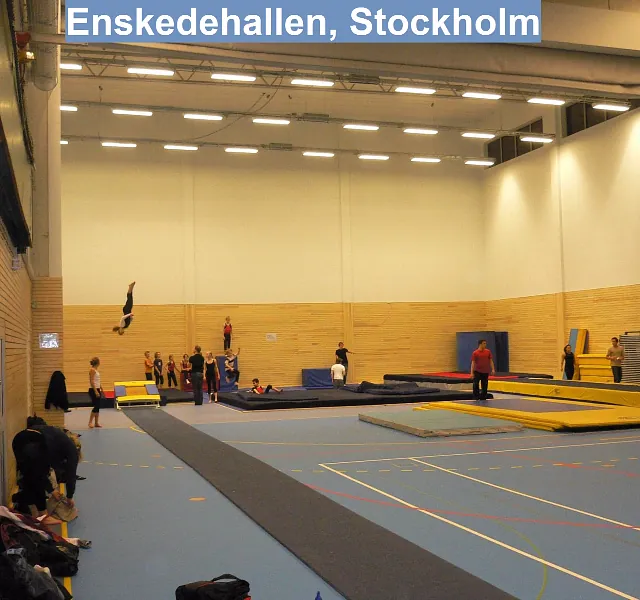 Enskedehallen