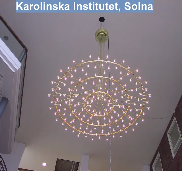 Karolinska Institutet