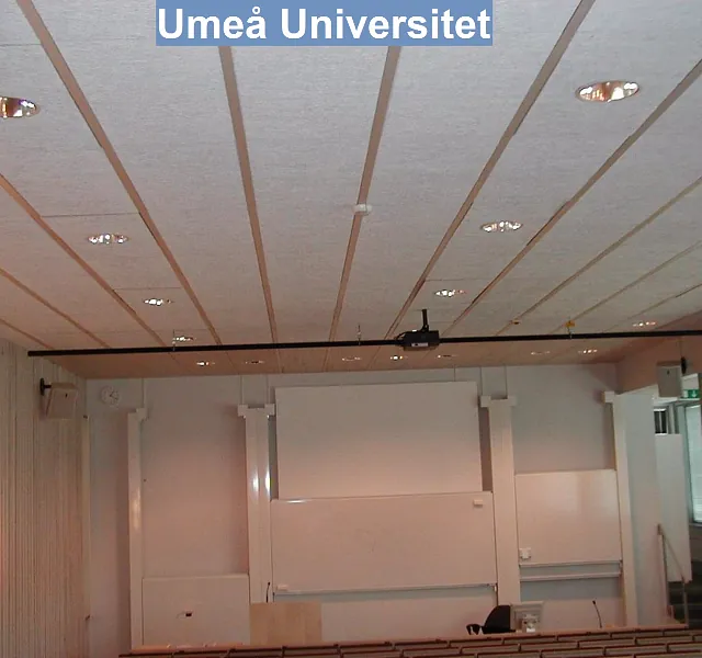 Umeå Universitet