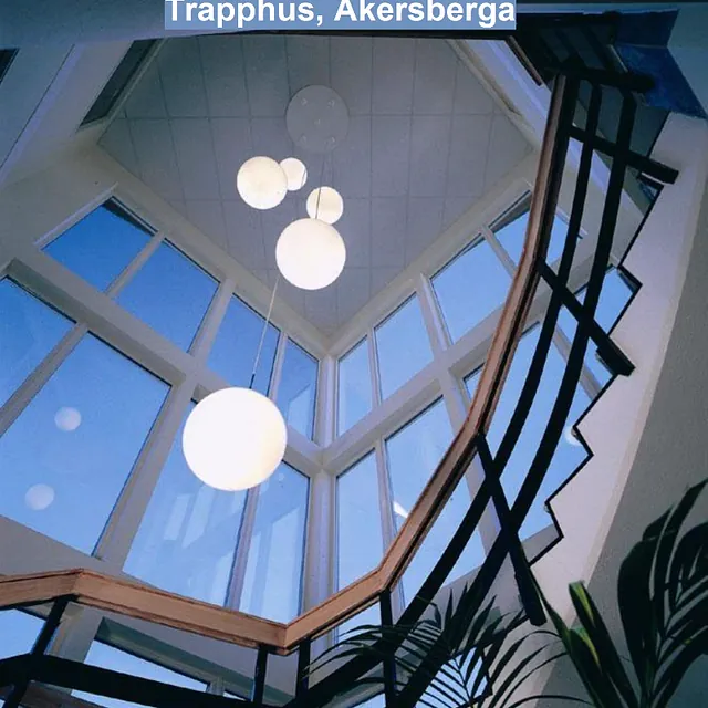 Trapphus
